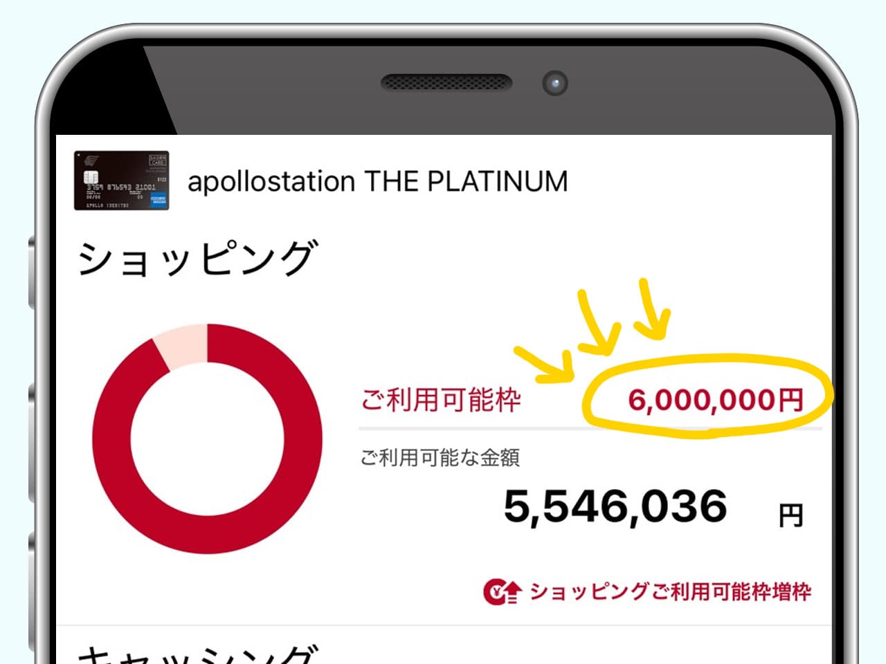 apollostation THE PLATINUMの普段の利用限度額