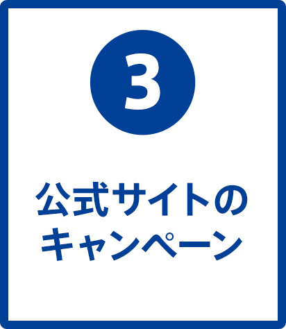 公式サイトのキャンペーン