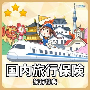 国内旅行傷害保険