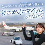 JALのどこかにマイルを徹底解説!4万円お得に乗れた方法と裏技紹介