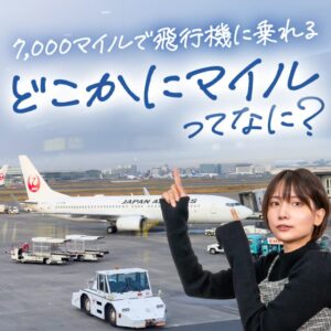 JALのどこかにマイルを使えば格安価格で飛行機に乗れます