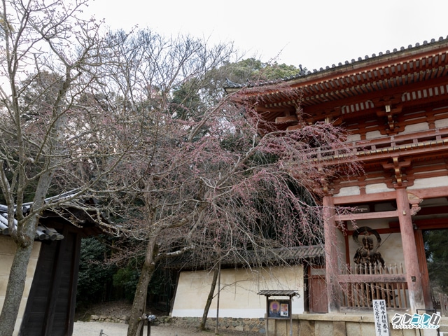 醍醐寺