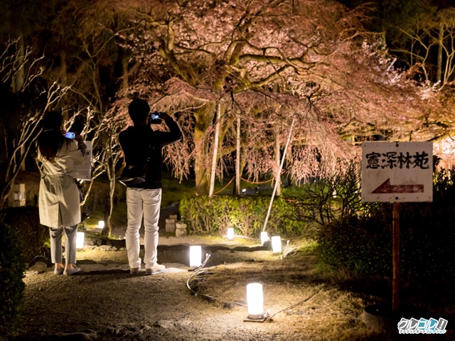 三宝院　憲深林苑