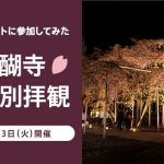 AMEXの「醍醐寺 桜の夜間特別拝観イベント」参加レポート。夜桜を楽しめる豪華イベントです。