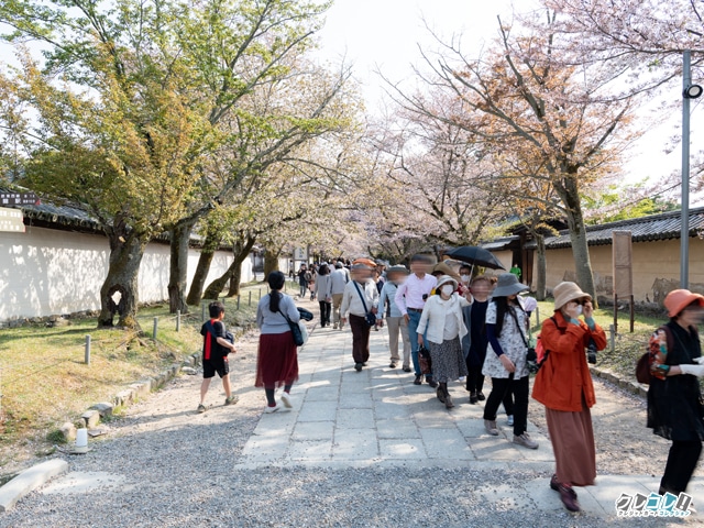 霊峰館への道