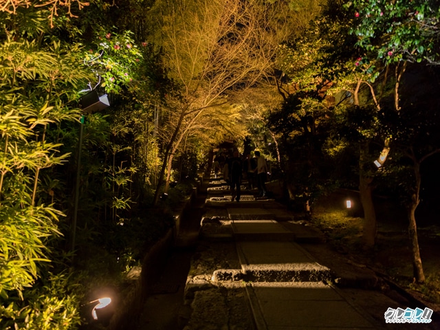 高台寺への道