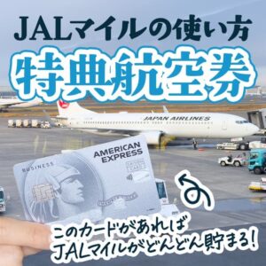 JALの国内線特典航空券の必要マイル数は？搭乗便の変更はできる？