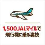 【陸マイラー必見】月850円しか決済しなくてもJALマイルで特典航空券と交換できる