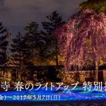アメックスゴールドがあれば割引料金で高台寺を拝観できます。高台寺の夜間ライトアップ拝観の紹介