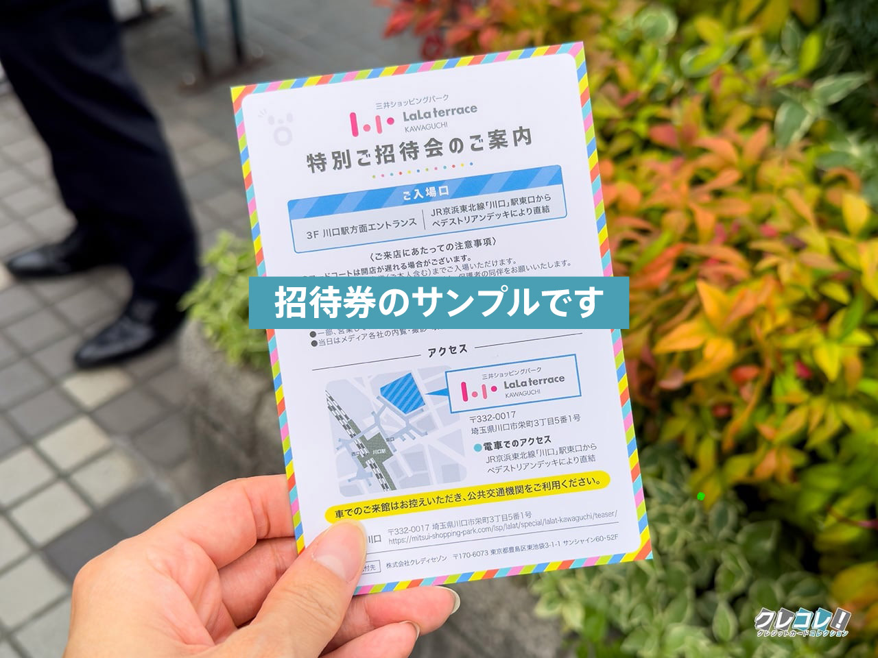 招待券のサンプル