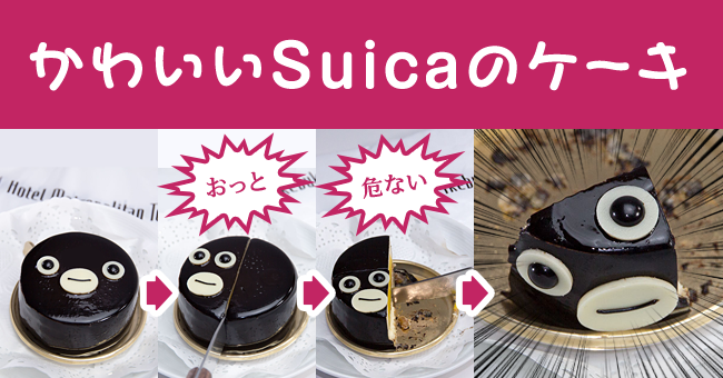 Suicaのペンギンケーキはメトロポリタン池袋で買える お土産におすすめ